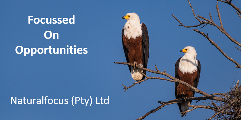 Naturalfocus (Pty) Ltd